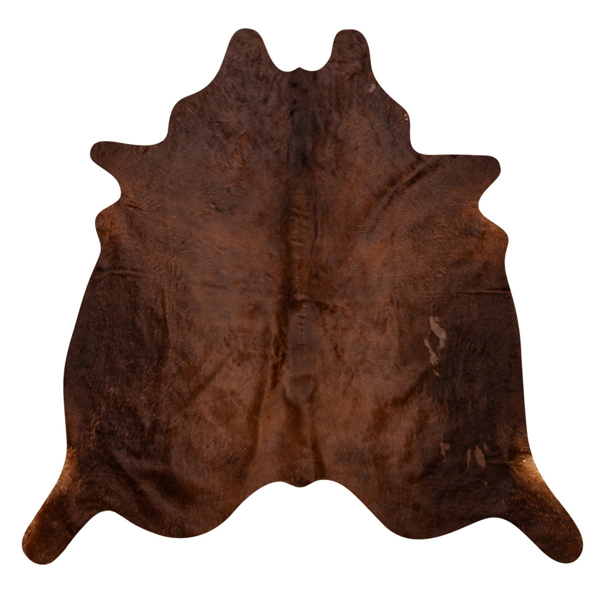 Natural Brazilian Cowhide Rug -  Mocha
