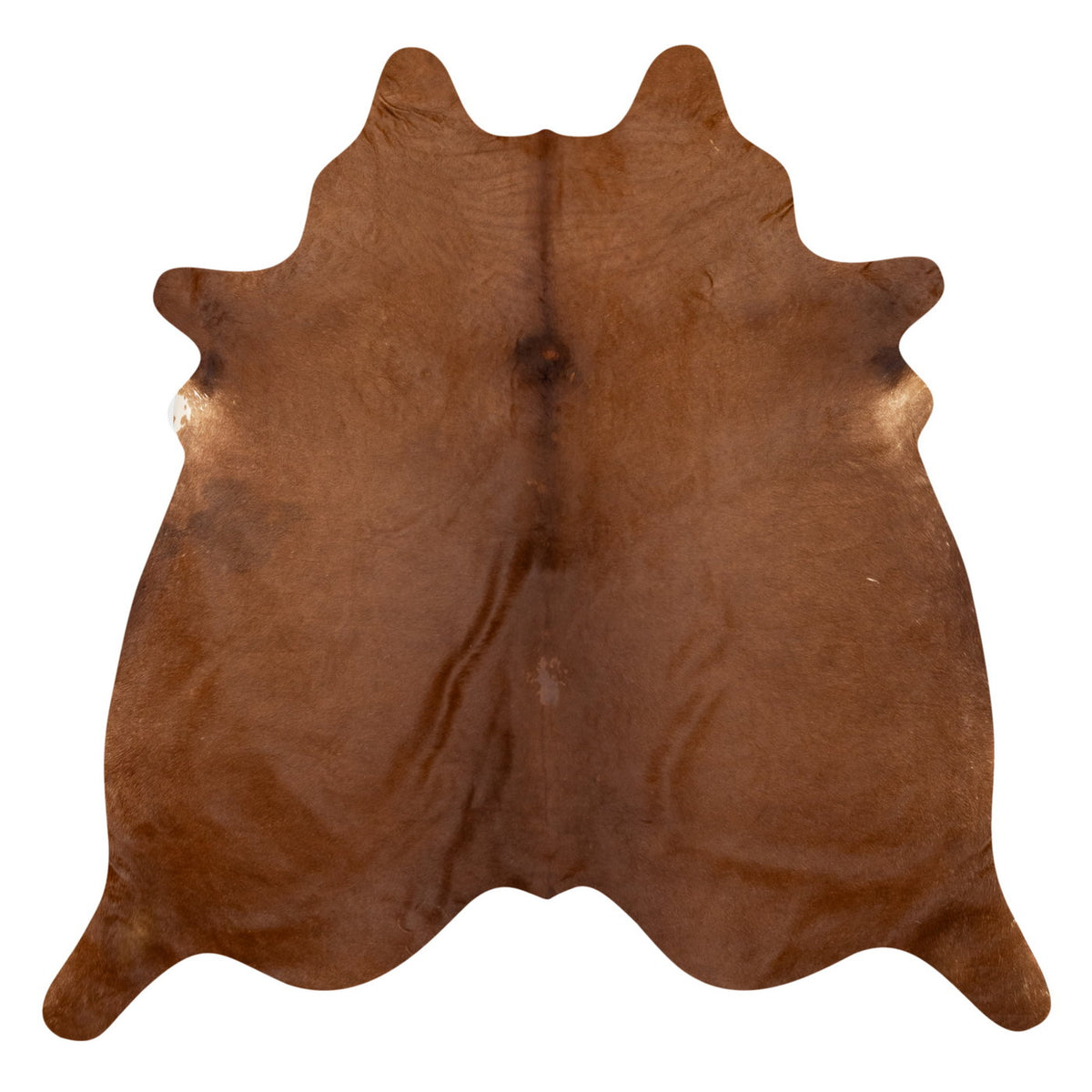 Natural Brazilian Cowhide Rug -  Mocha