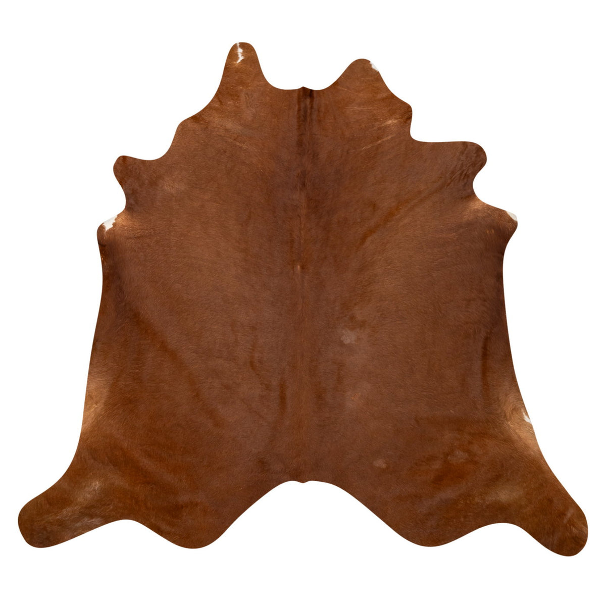 Natural Brazilian Cowhide Rug -  Mocha