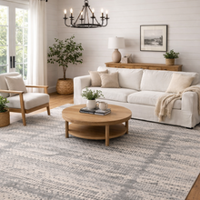 Load image into Gallery viewer, Phoenix Rug – Gray Abstract Essential Area Rug