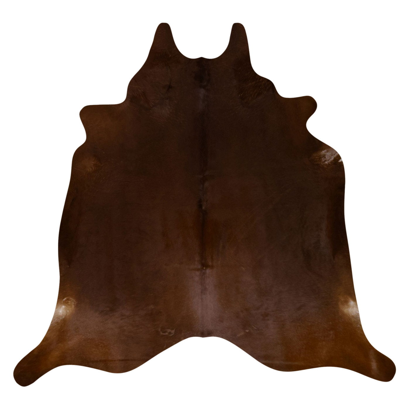 Natural Brazilian Cowhide Rug -  Mocha