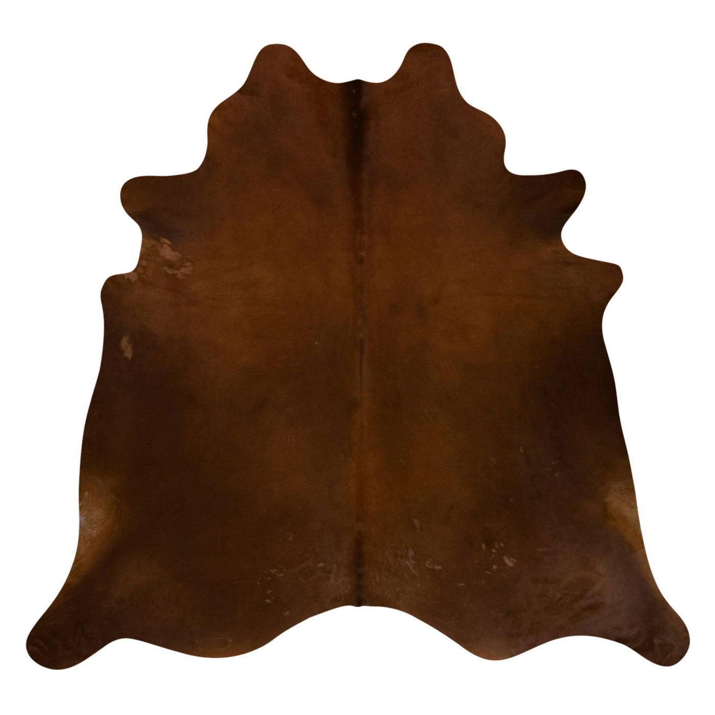 Natural Brazilian Cowhide Rug -  Mocha