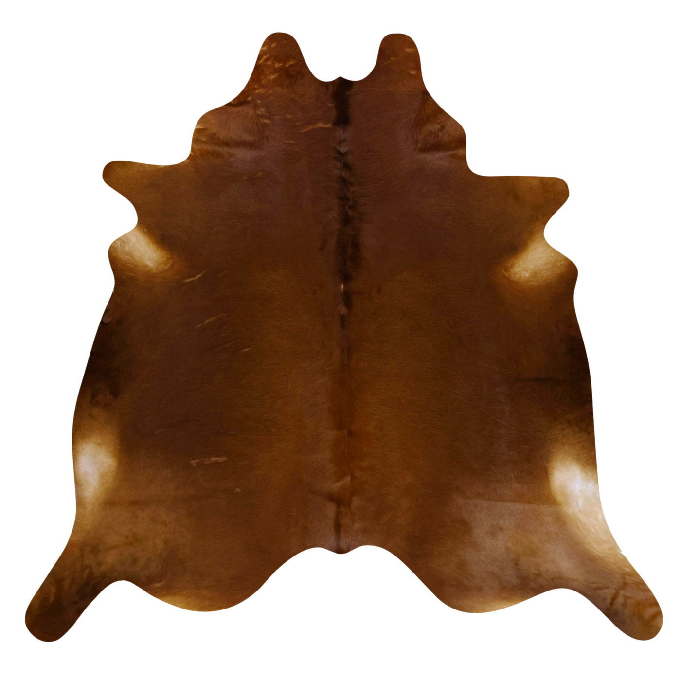 Natural Brazilian Cowhide Rug -  Mocha