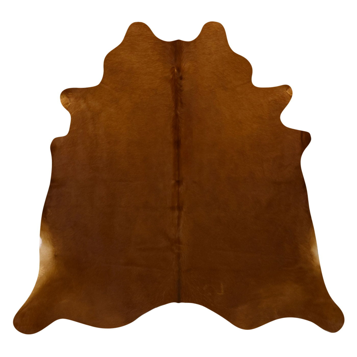 Natural Brazilian Cowhide Rug -  Mocha  
