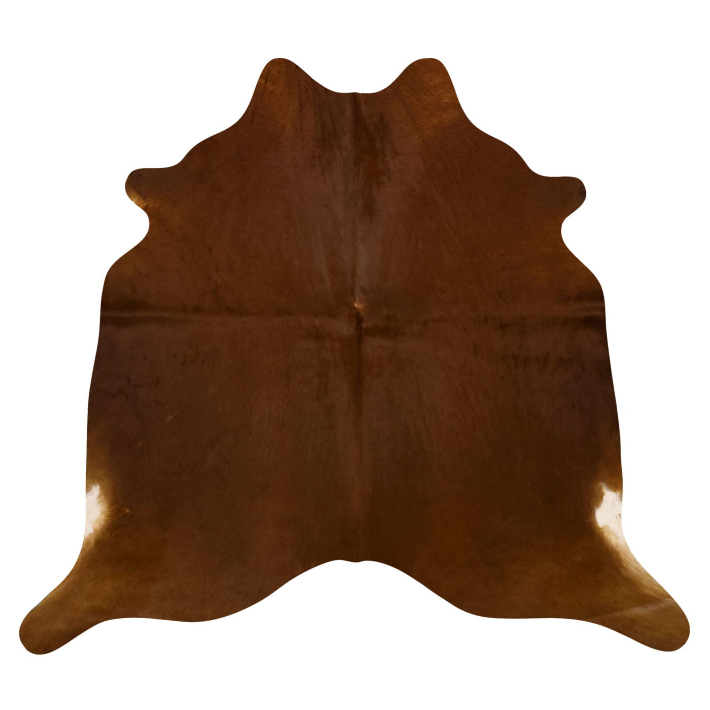 Natural Brazilian Cowhide Rug -  Mocha  