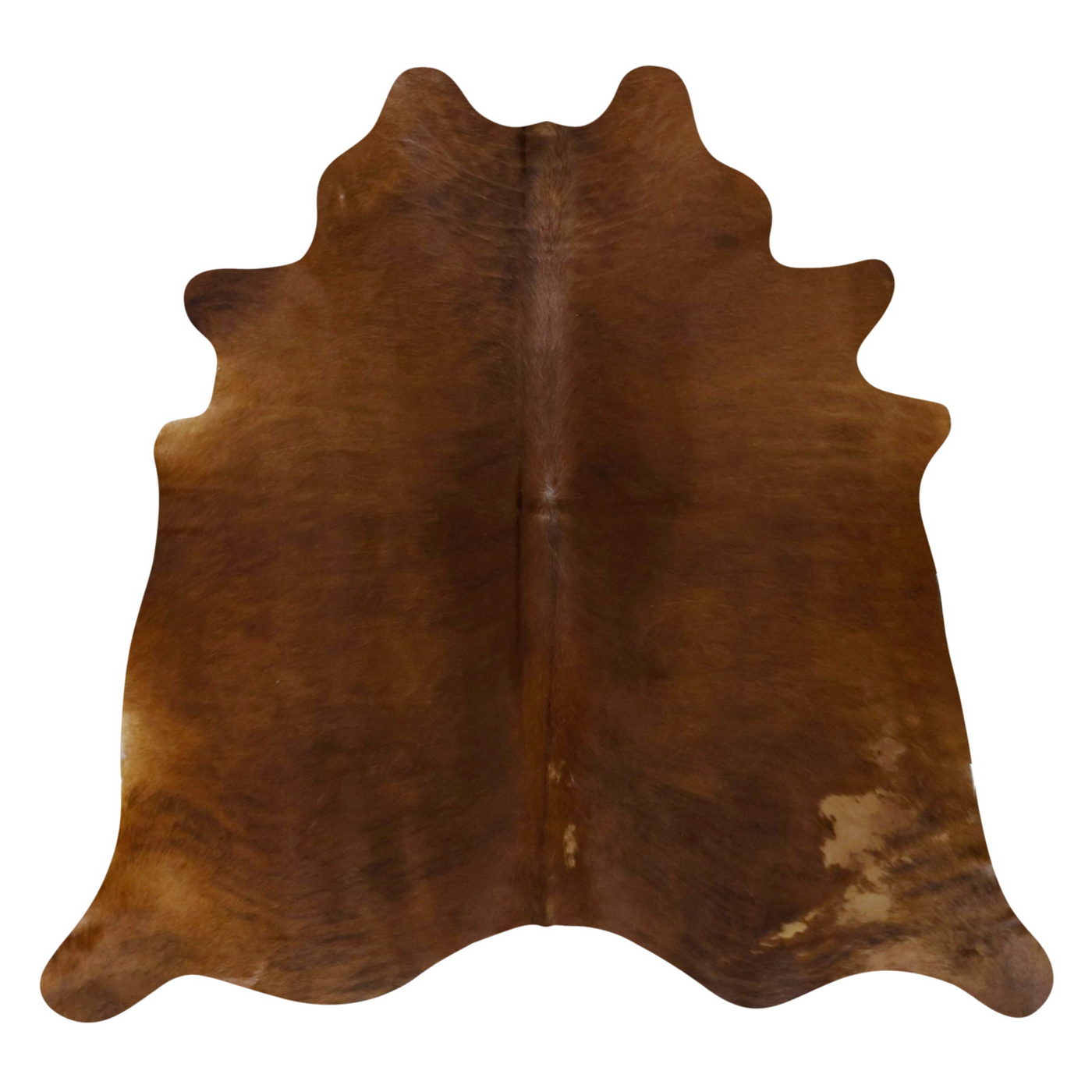Natural Brazilian Cowhide Rug -  Mocha