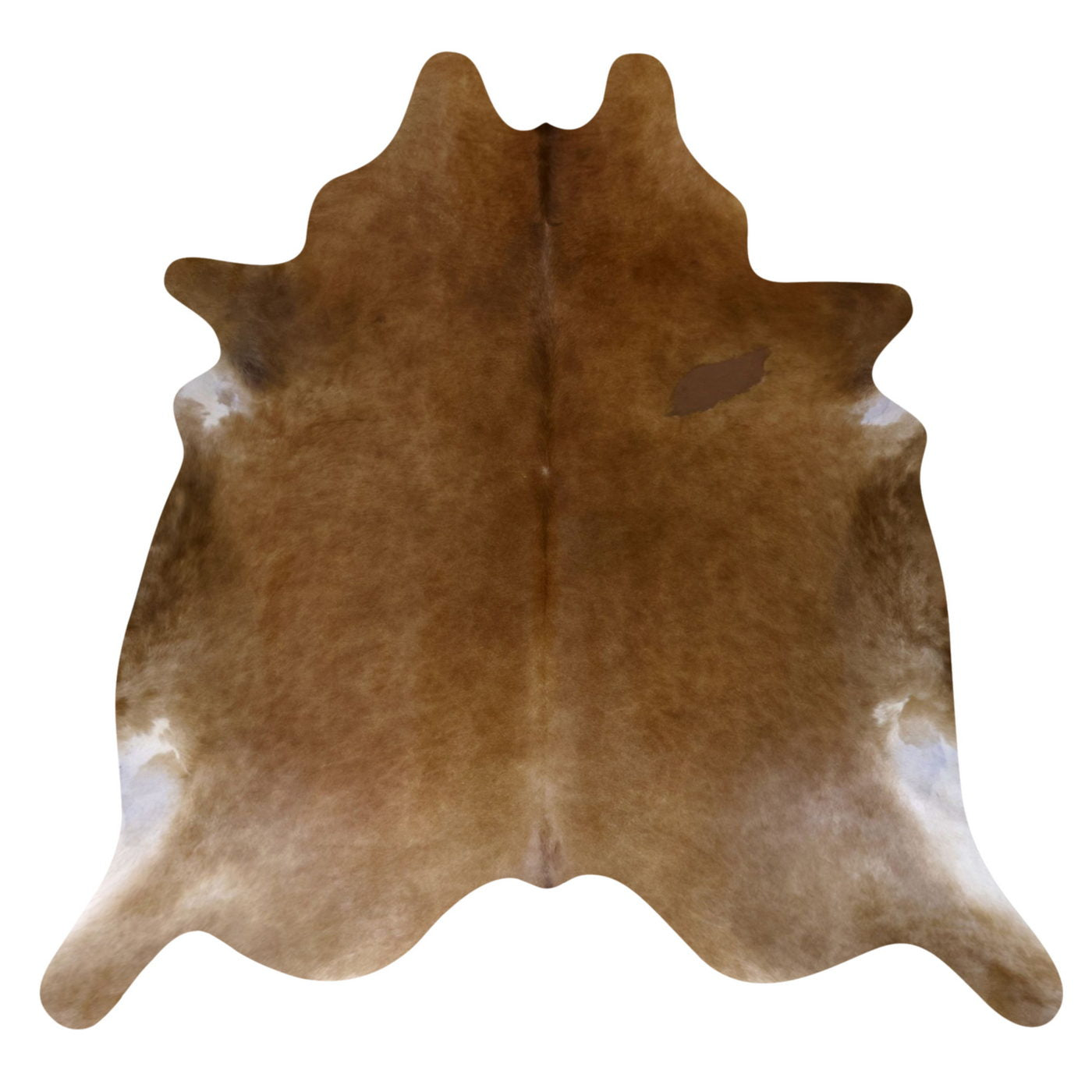 Natural Brazilian Cowhide Rug -  Ivory, Caramel & Chocolate