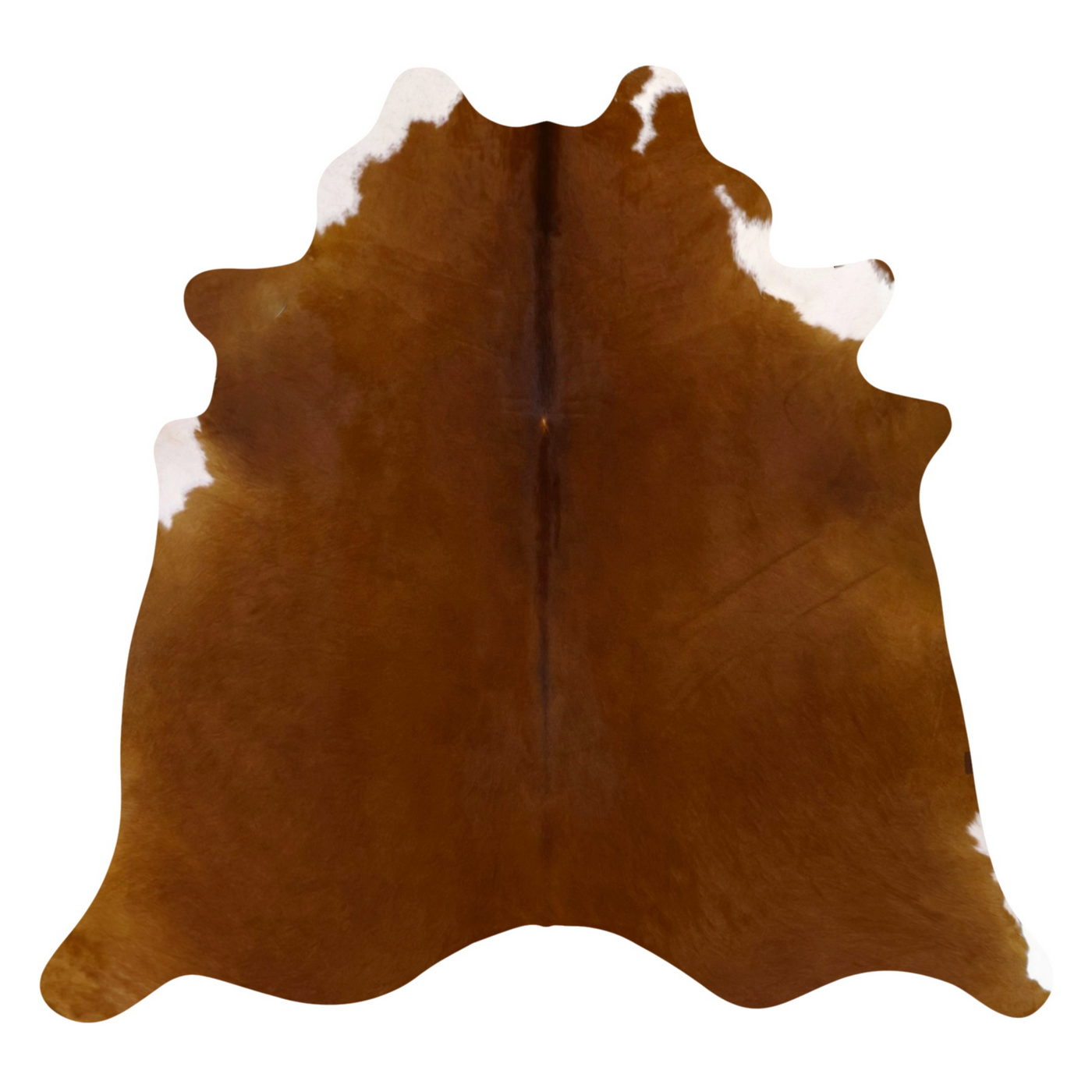 Natural Brazilian Cowhide Rug -  Mocha