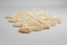Load image into Gallery viewer, Octo Sheepskin Rug &amp; Throw, XXLarge, approx. 6'x8' , Champaign