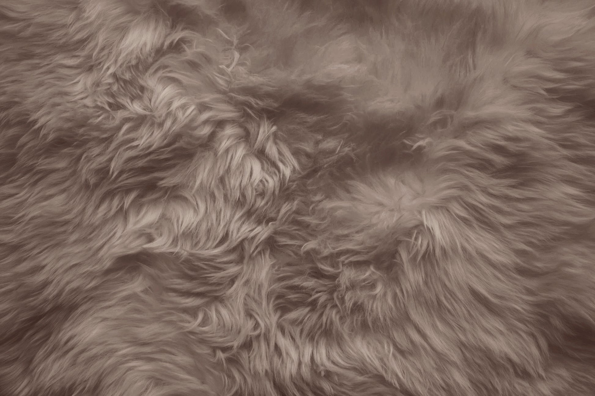 Natural Shape Sheepskin Camel