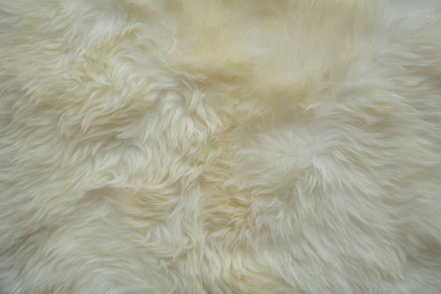 Natural Sheepskin Area Rug 4'x6'