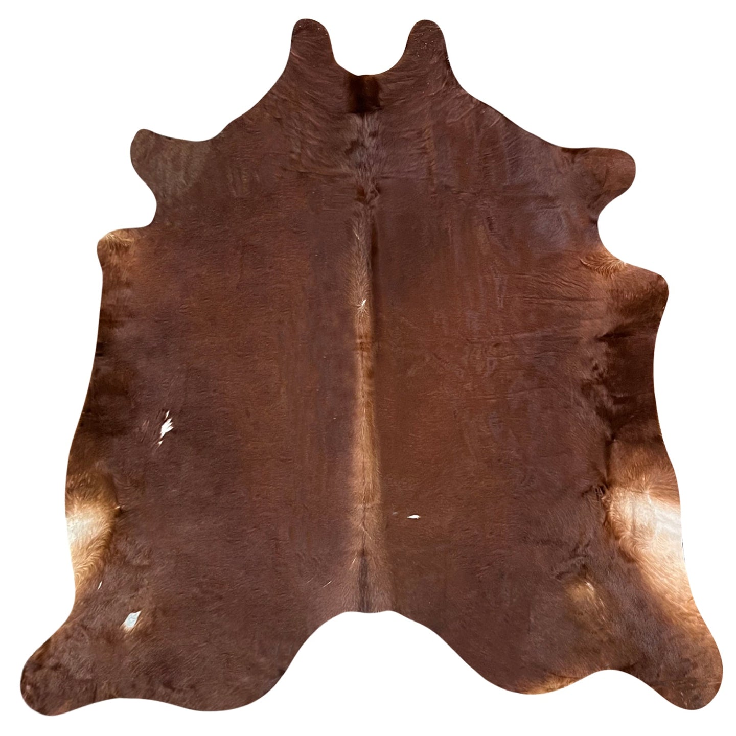 Natural Brazilian Cowhide Rug -  Chocolate