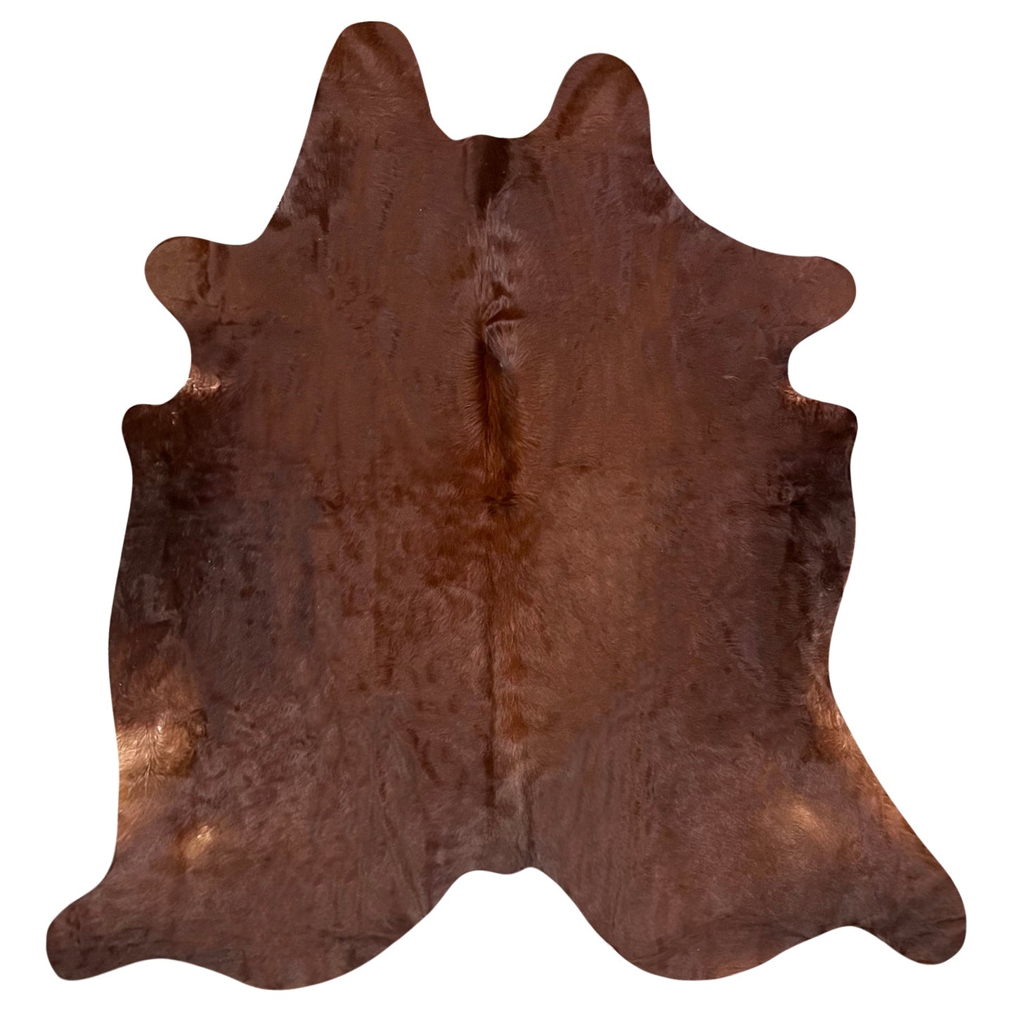 Natural Brazilian Cowhide Rug -  Chocolate