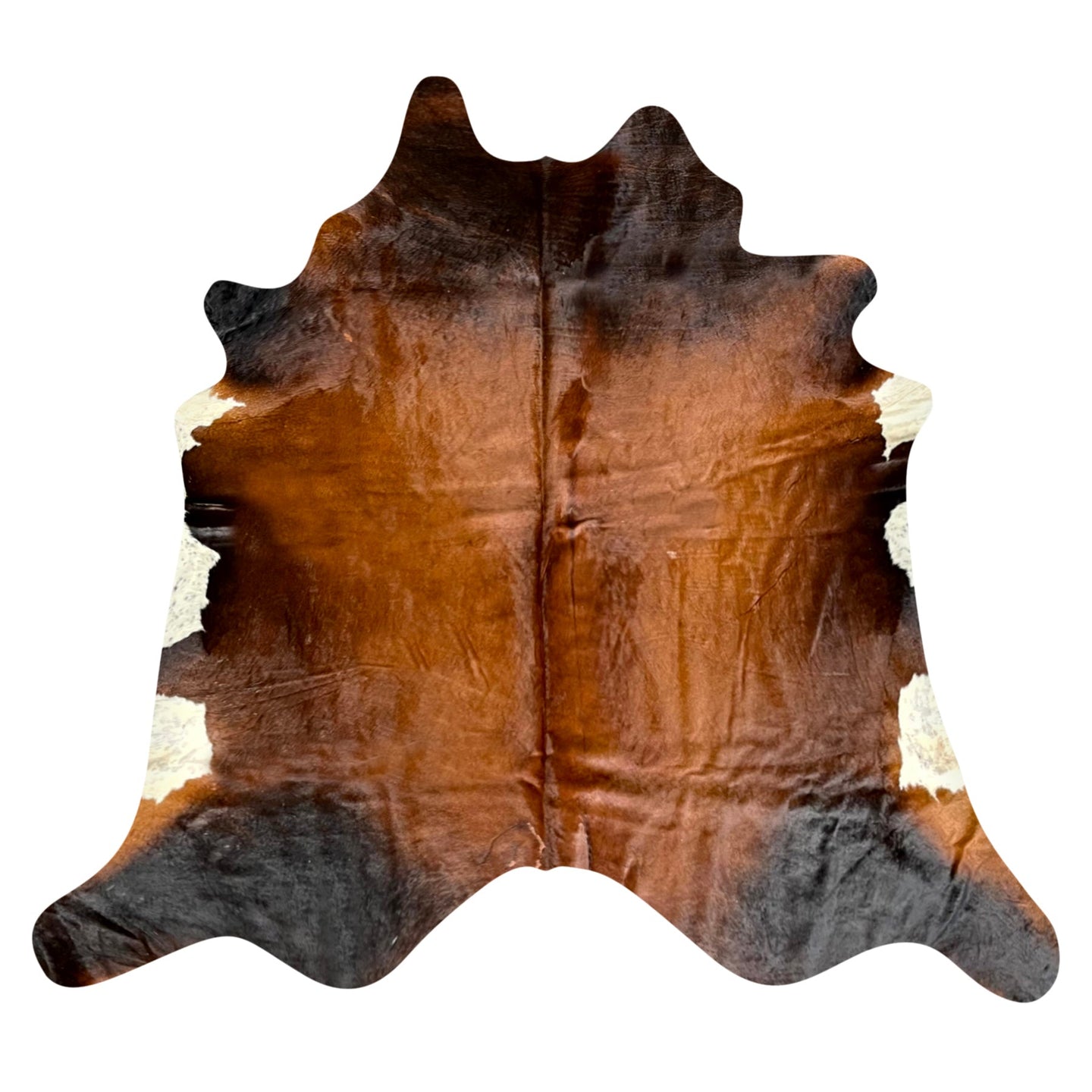 Natural Brazilian Cowhide Rug -  Caramel, Mocha & Ivory