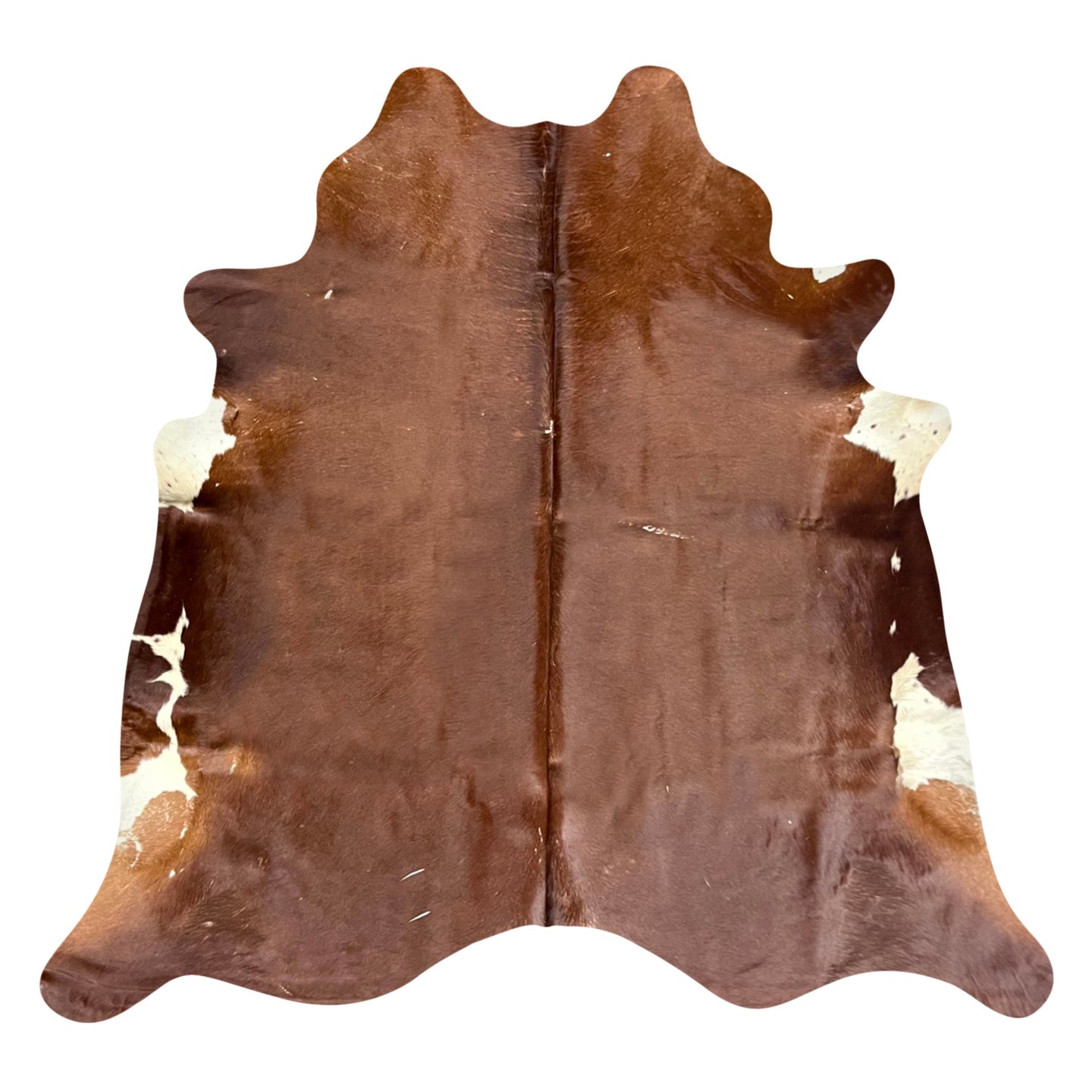 Natural Brazilian Cowhide Rug -  Mocha & Ivory