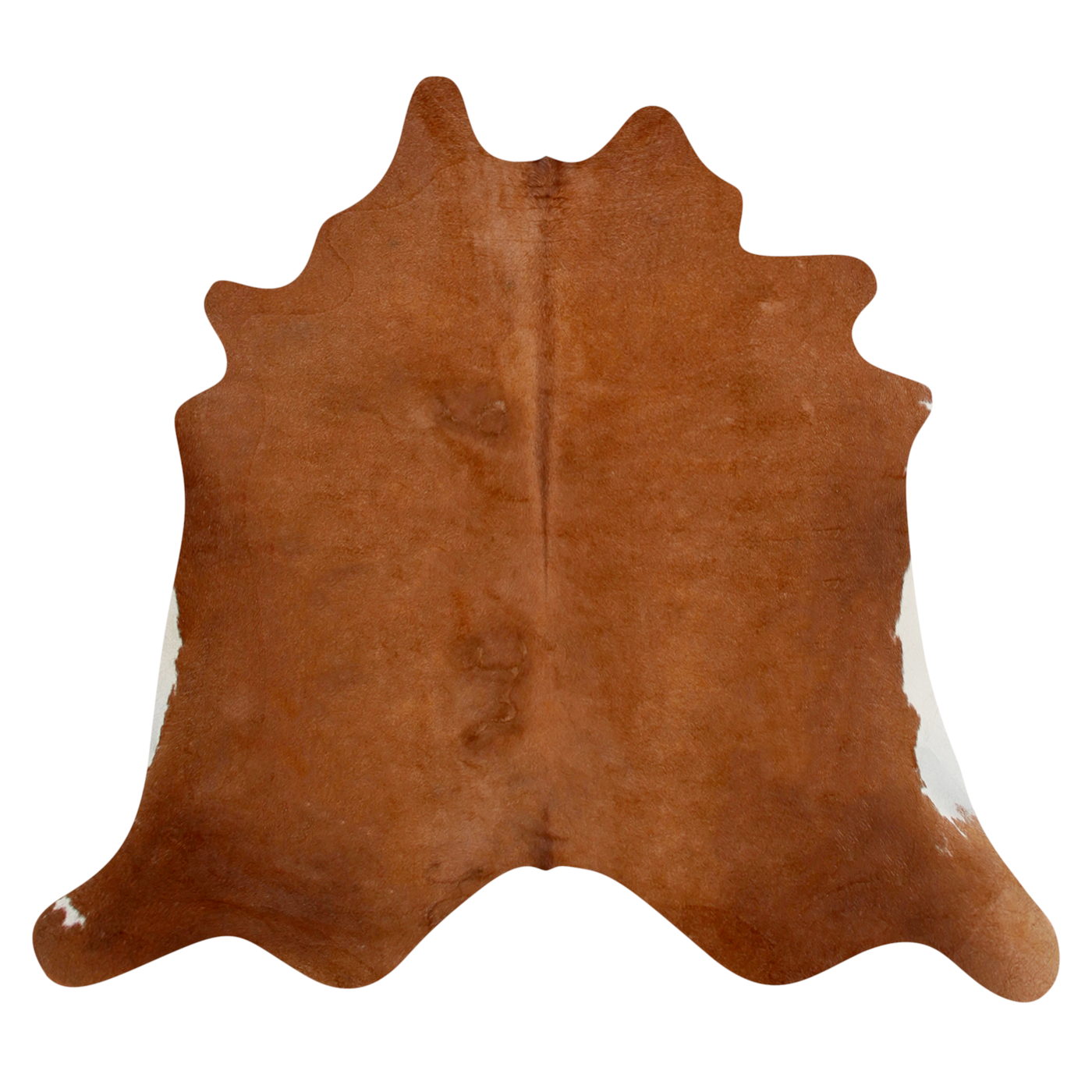 Natural Brazilian Cowhide Rug -  Mocha & Ivory