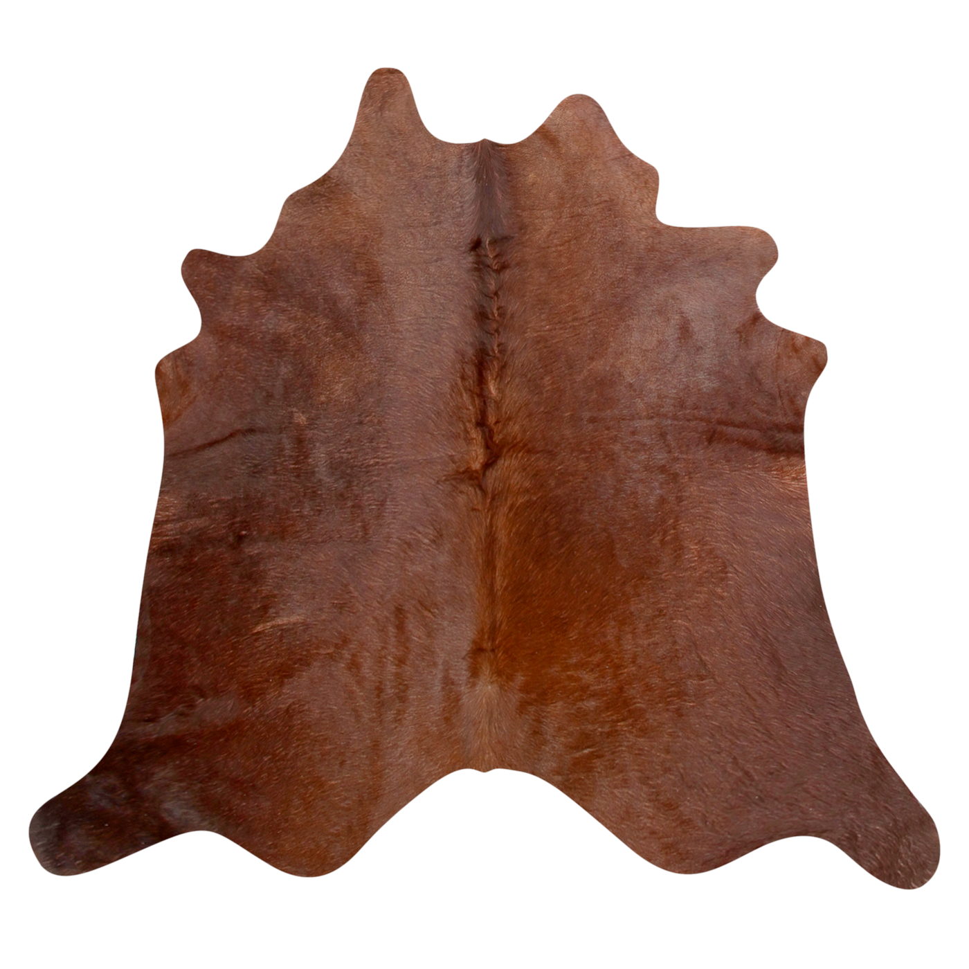 Natural Brazilian Cowhide Rug -  Mocha