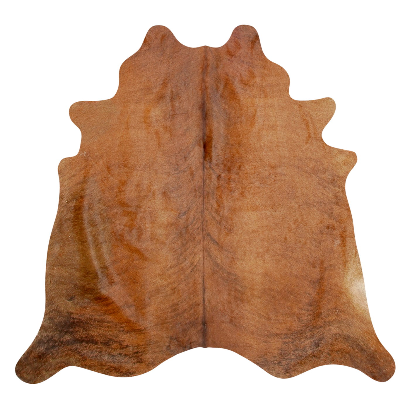 Natural Brazilian Cowhide Rug -  Mocha, Espresso & Caramel