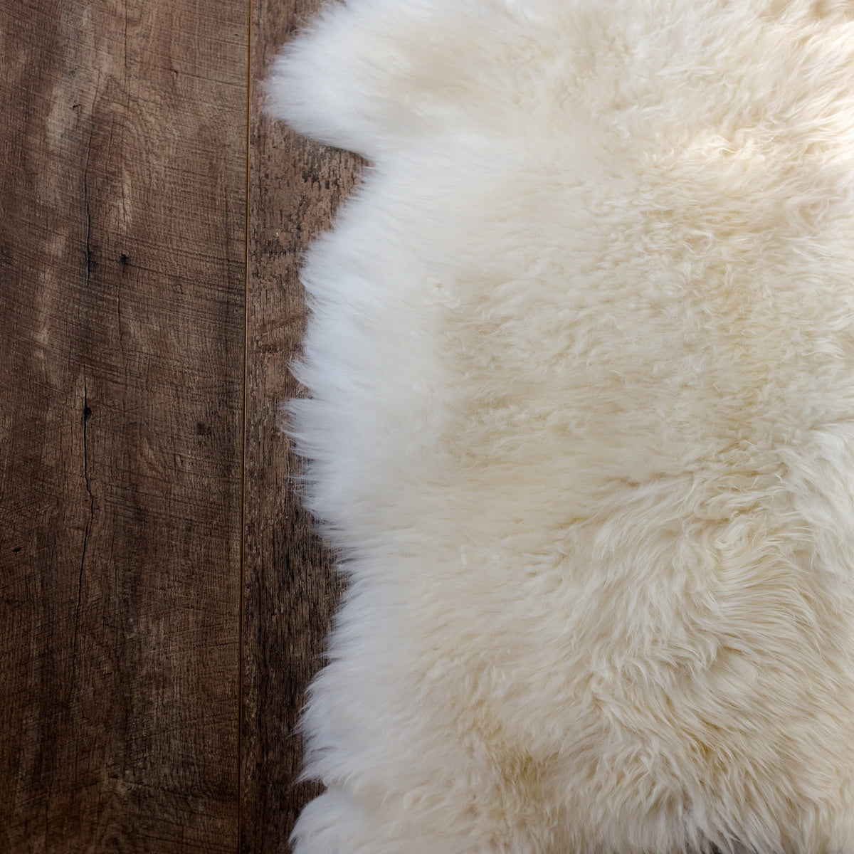 Natural White Premium Sheepskin Rug & Throw, XXLarge, approx. 6'x8'